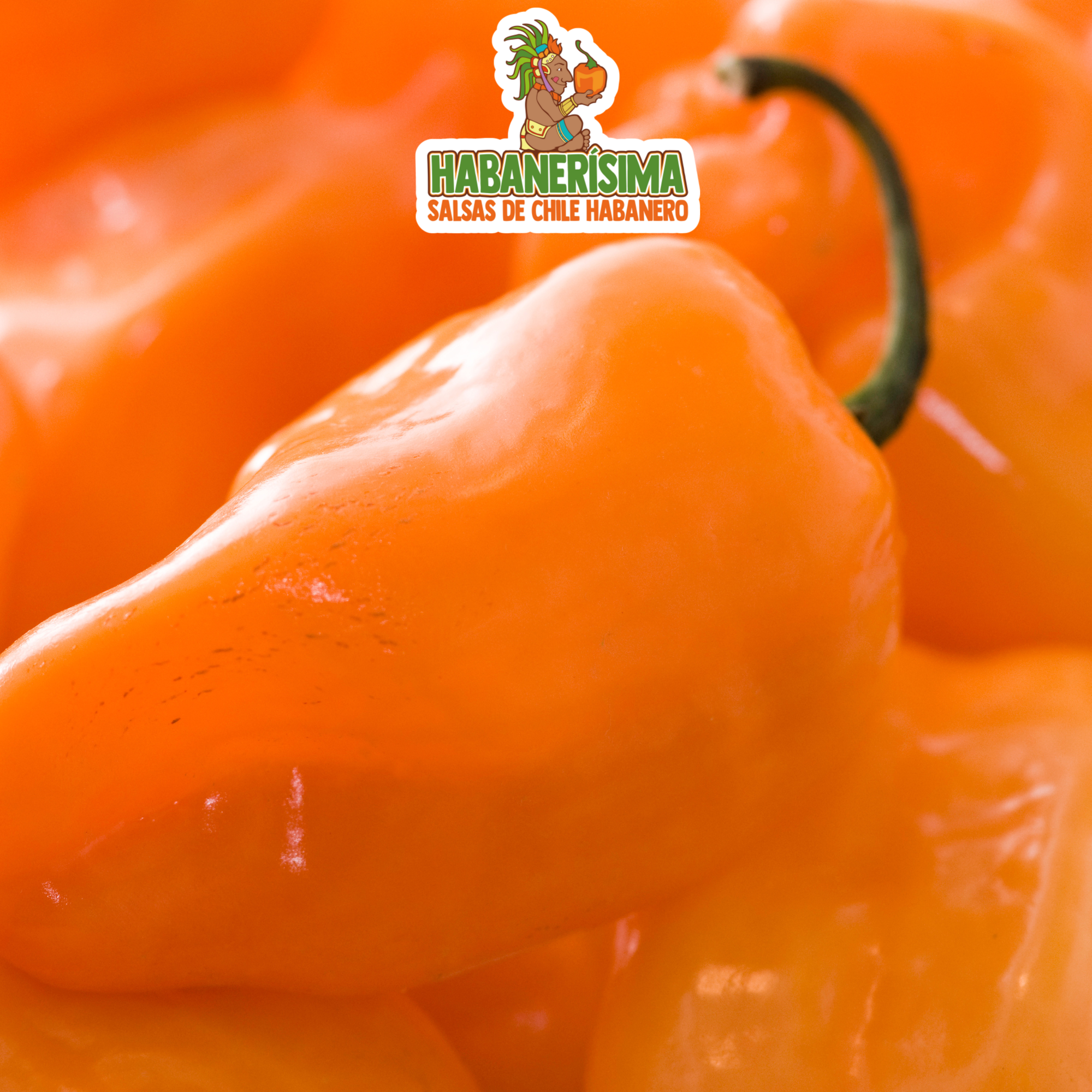 Pasta de Chile Habanero Naranja Habanerísima